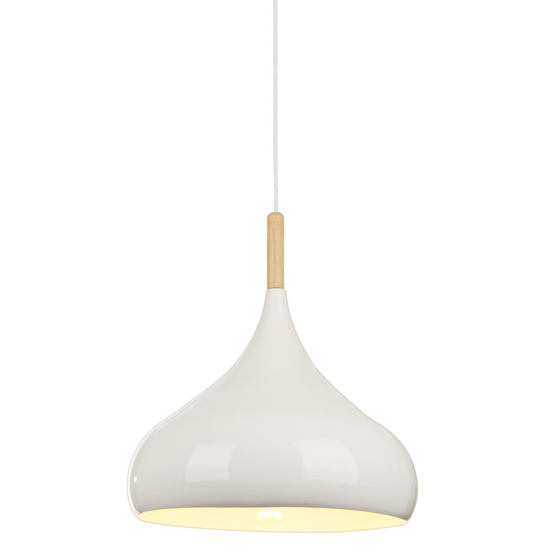 Luminaire suspendu 1 lumière Barbot