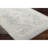 Oriental Indoor Rug-1167749282