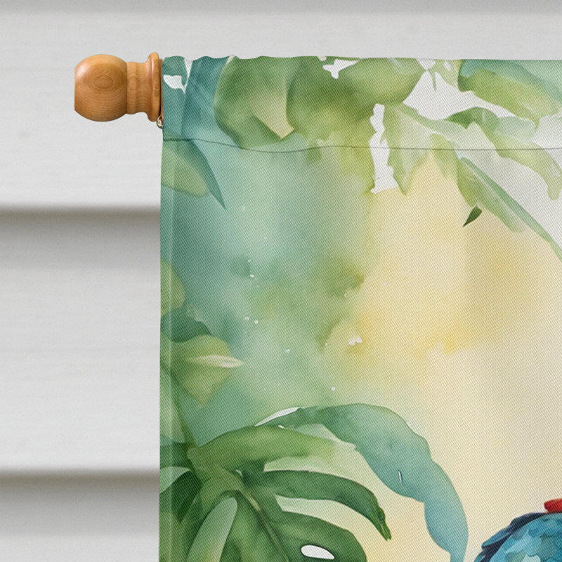 House Flag, Macaw Parrot