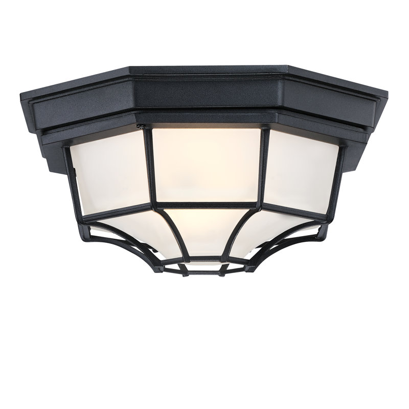 Erten  1-Light Ceiling Mount Light Fixture With Frosted Glass, Black