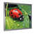 Silver Single Picture Framed