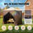 VEVOR Pop Up Gazebo Tent