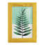 Verging Palm II - Impression encadrée avec verre-428073993-428073987