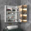 Halm 24'' W 32'' H Frameless Medicine Cabinet with Mirror and 3 Adjustable Shelves-521025620