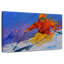 Sirci expert en ski-107848653