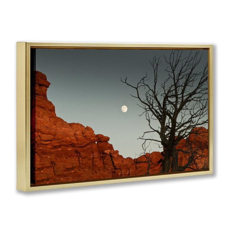 «Full Moon Canyon», photographie par Jadei, H 17 po x l 25 po, Cadre flottant gris lustré