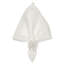 Lumina Napkin