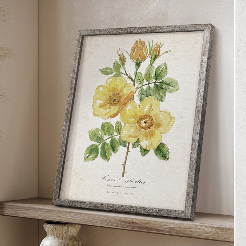 «Botanical IV», reproduction encadrée - bois massif, H 11 po x l 9 po