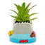 7 plantes