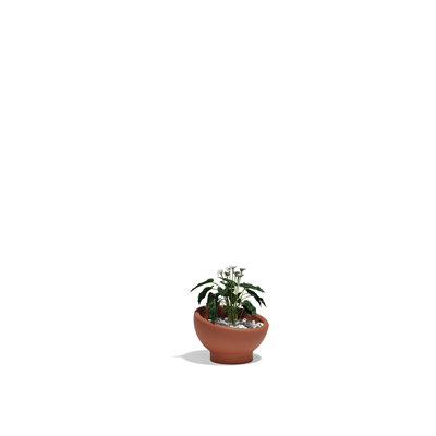 Luna Planter