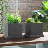 Ignazia Pot Planter