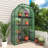 39''W x 17''D × 63''H Small Hobby Greenhouse