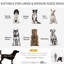 Poussette pour chien de taille moyenne à grande, pliable en 1 clic, pochette de rangement, amortisseur de chocs, moustiquaire, laisse, équipement de voyage pliable noir, option, réduction, ouverture, attache,