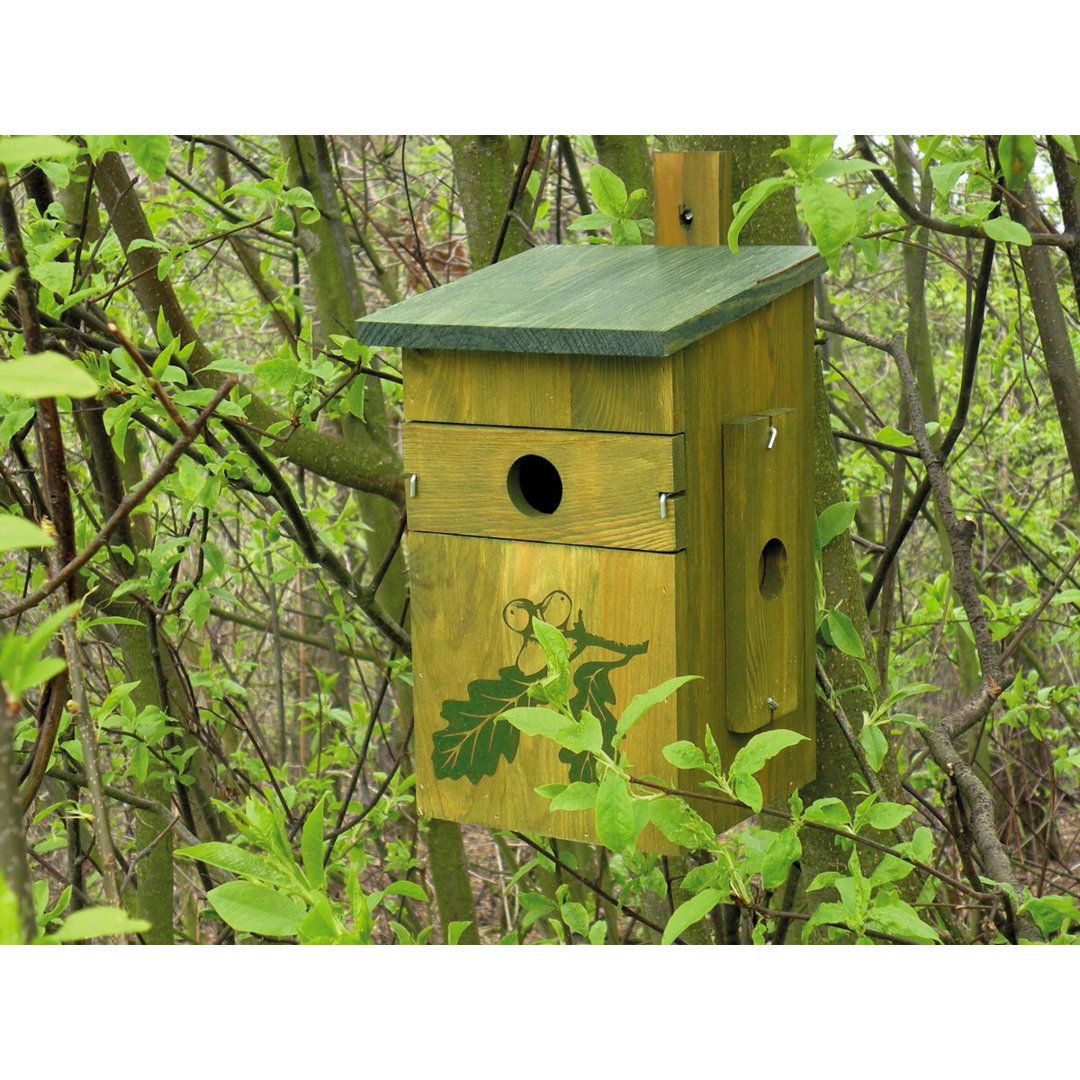 Montierbares Vogelhaus Ambellina