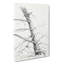 Study Of A Tree by Jean Bernard - Wrapped Canvas Painting-55318896