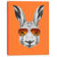 Animal avec lapin et lunettes de soleil sur toile - Lapin amusant-33311294-62599713