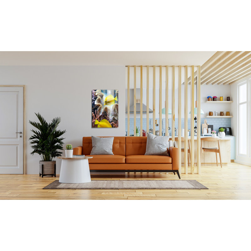 Verre 2, H 19,7 po x l 27,6 po x P 1 po