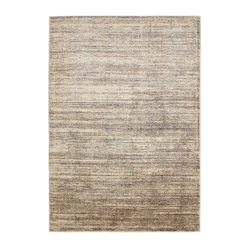 Shianne Oriental Area Rug, Rectangle 160 x 230cm