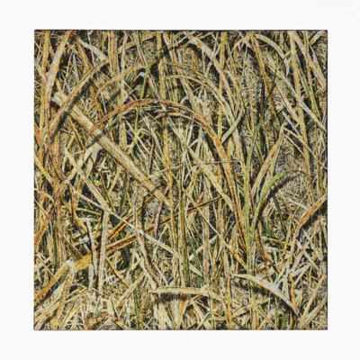 Tread Haven Bottom Land Camouflage Peel and Stick Carpet Tile Set – 18" × 18" (20 Pieces / 45 sq ft)