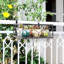 Plant Hanger