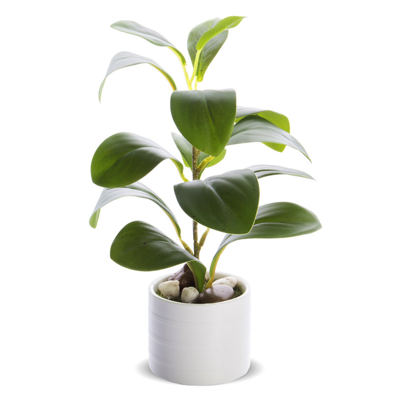 25cm Faux Evergreen Plant in Pot