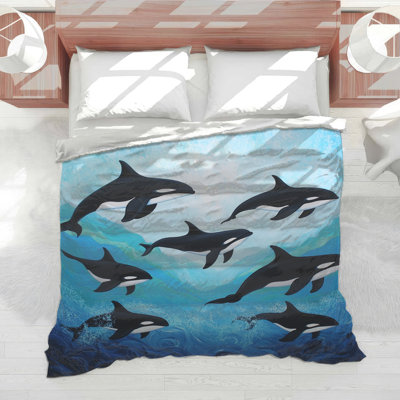 Édredon Orca