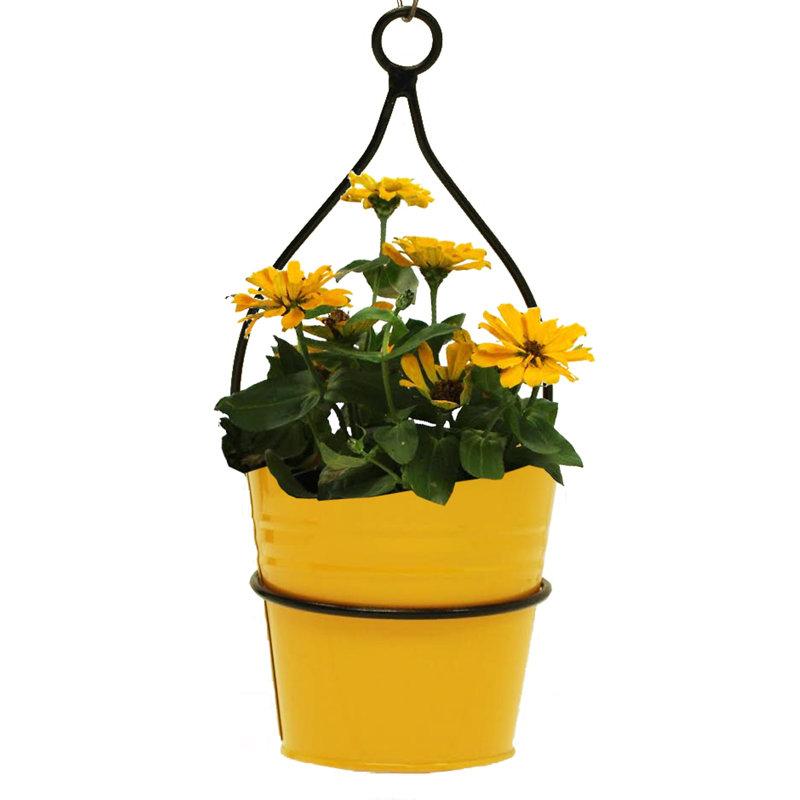 Pot à fleurs Rehobeth, Safran, 2