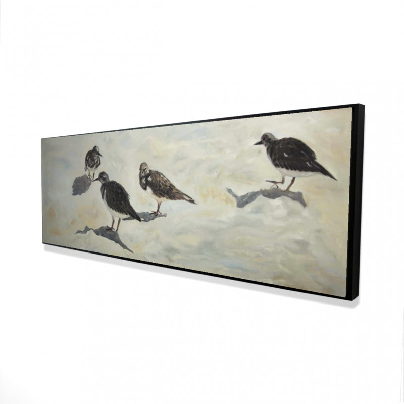 " Sandpiper Birds "