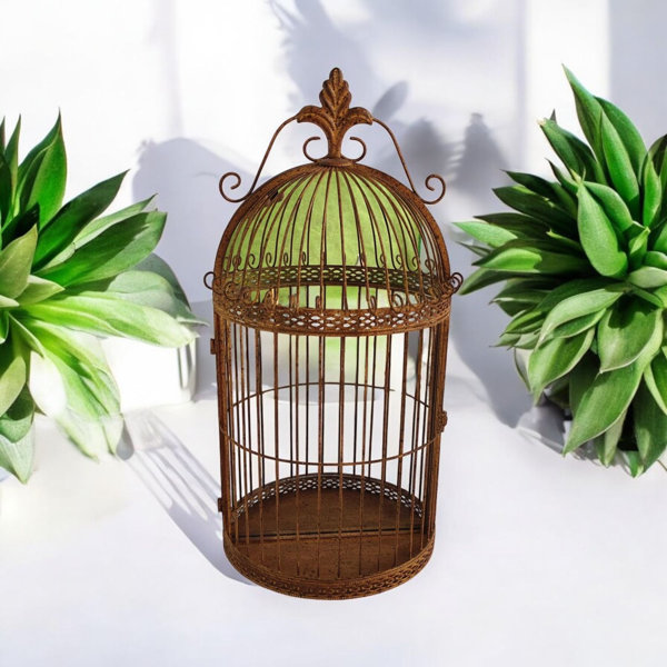 Fresh Look at Lark Manor Rusty Garden Wall Mirror Bird Cage