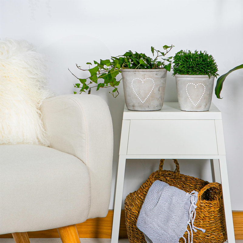 Pot Planter