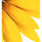 75" Hyden Metal Sunflower Wind Spinner