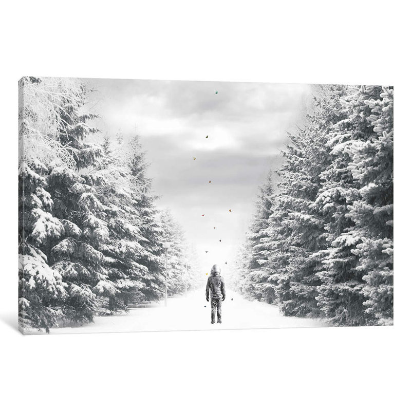 The Path by Jason Brueck - Giclee Art Print on Canvas, 66.04 cm H x 45.72 cm W x 1.91 cm D, Wrapped Canvas