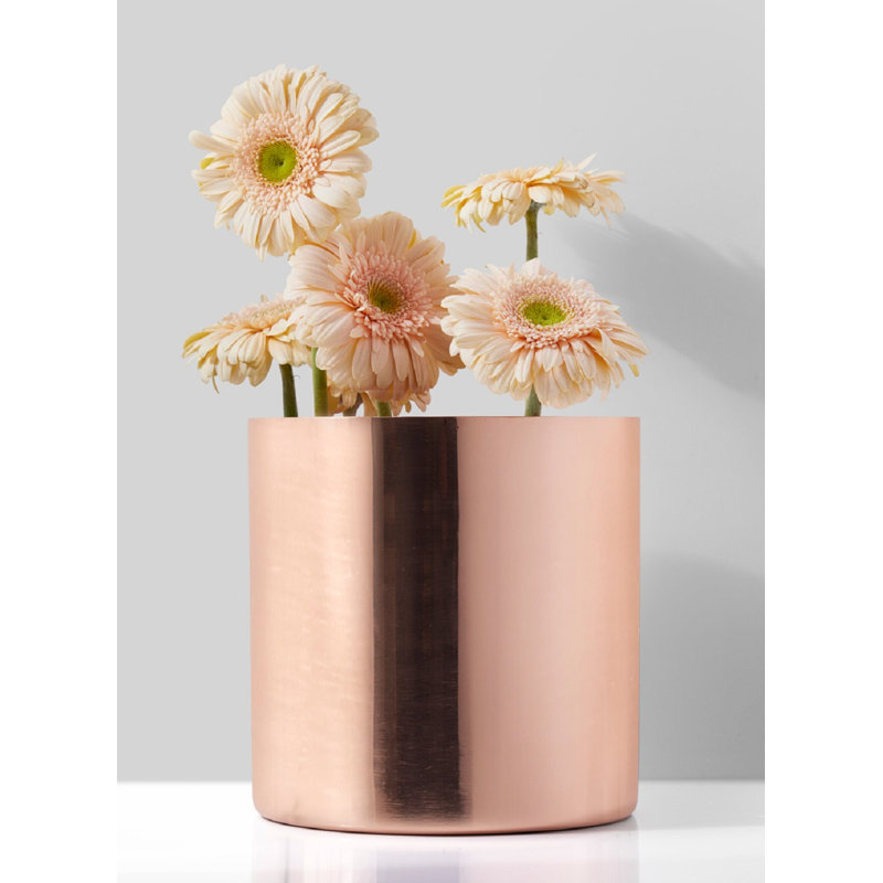 Pettus Copper / Copper Plated Table Vase, 7" H x 7" W x 7" D