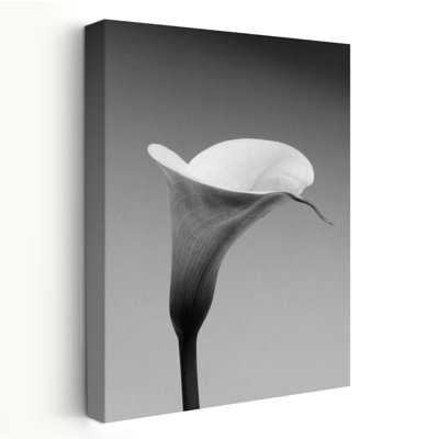 Calla n ° 3 - art floral et nature morte