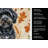 Black Havanese Heirloom Fall Kitchen Towel-1218231370