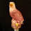 Jossif Eagle Night Light