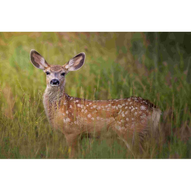 Deer Watch IV, H 20 po x l 30 po