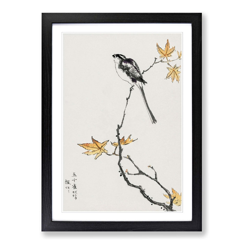 Long-Tailed Tit & Maple Tree by Numata Kashu - Picture Frame Painting Print, 50cm H x 35cm W x 2cm D, Black