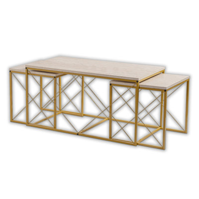2 Pieces Metal Frame Rectangle Elite Coffee Table Set