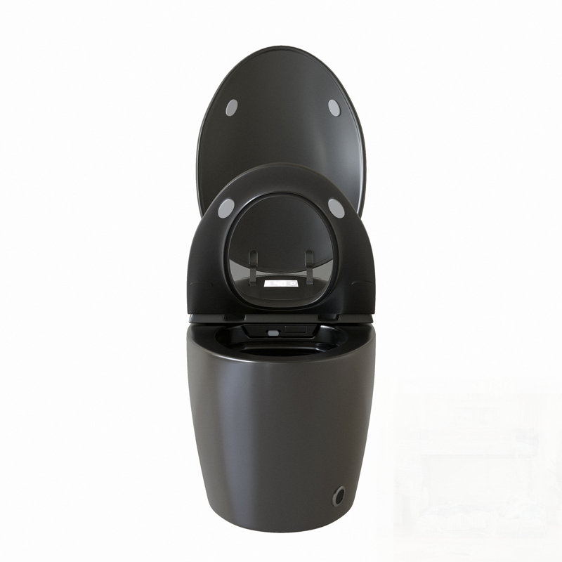 Toilette intelligente unique, une pièce avec bidet intégré, siège à ouverture / fermeture automatique, capteur de pied, affichage à DEL, veilleuse, eau chaude et sécheuse