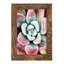 Pastel Succulent Beauty V, reproduction d'art sur papier-638222782-638222769