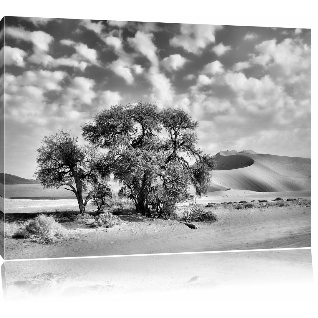 Leinwandbild Kleine Bäume in Wüstenlandschaft in Monochrom