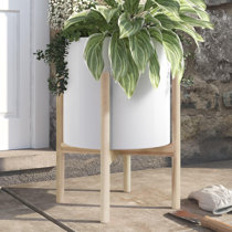 Wayfair  Planters You'll Love in 2024