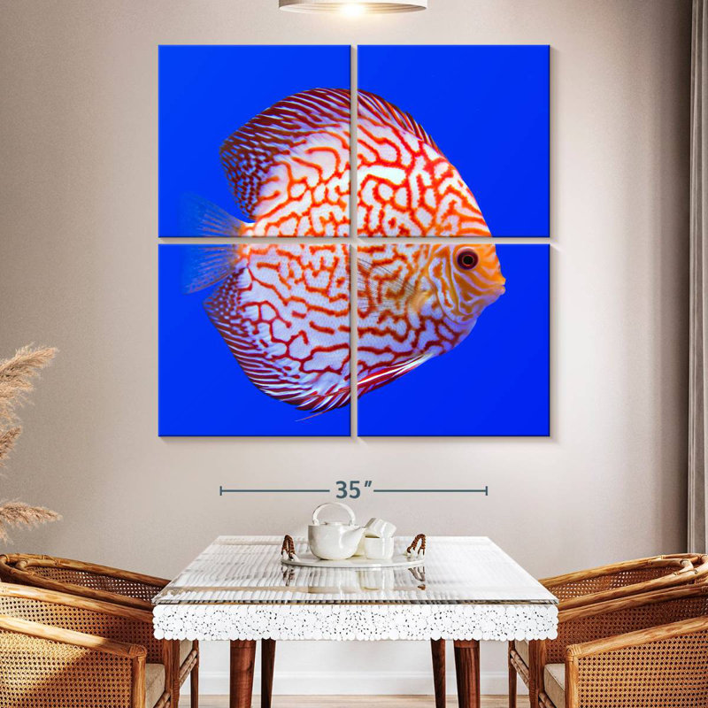 Brampt Exotic Discus Fish, 50" H x 50" W