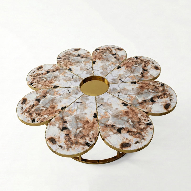 Coffee Table with Storage