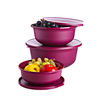 Ensemble de 3 contenants alimentaires Earth