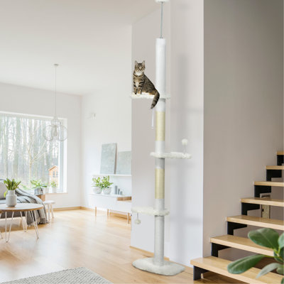 Dorrelis 100.5'' H Cat Tree