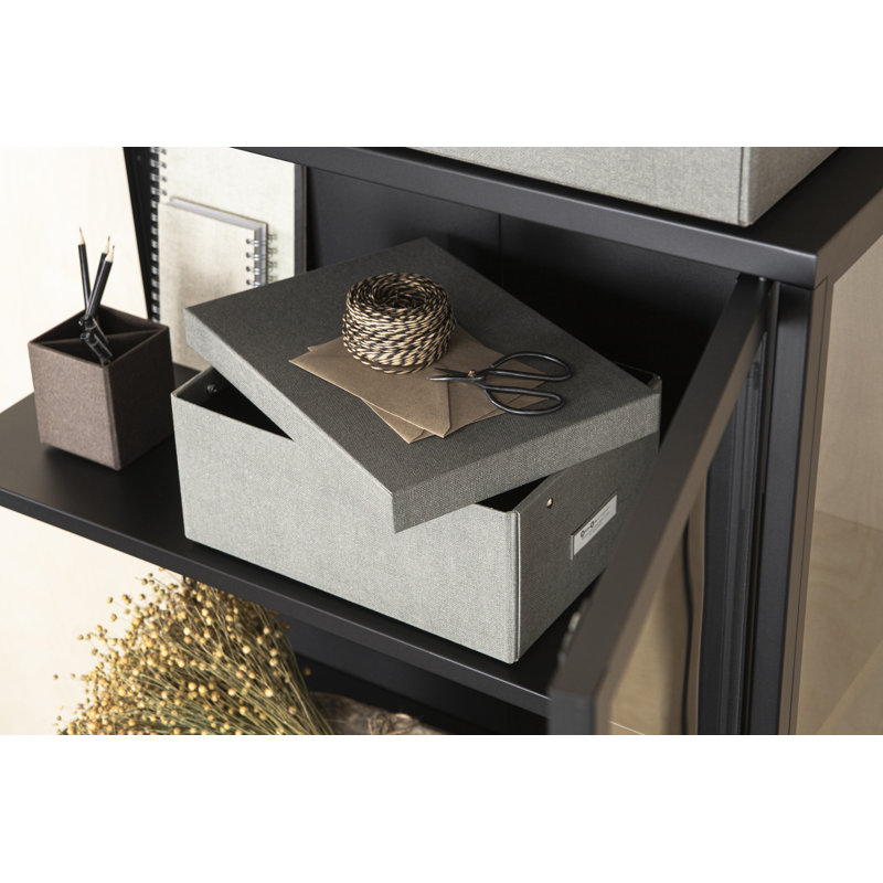 Bigso Karin KD Collapsible Storage Box - Photo Storage Box, Gray