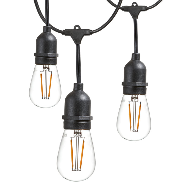 Kurt Outdoor 16 - Bulb 48'' Plug-in LED String Light