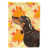 Black/Tan Dachshund